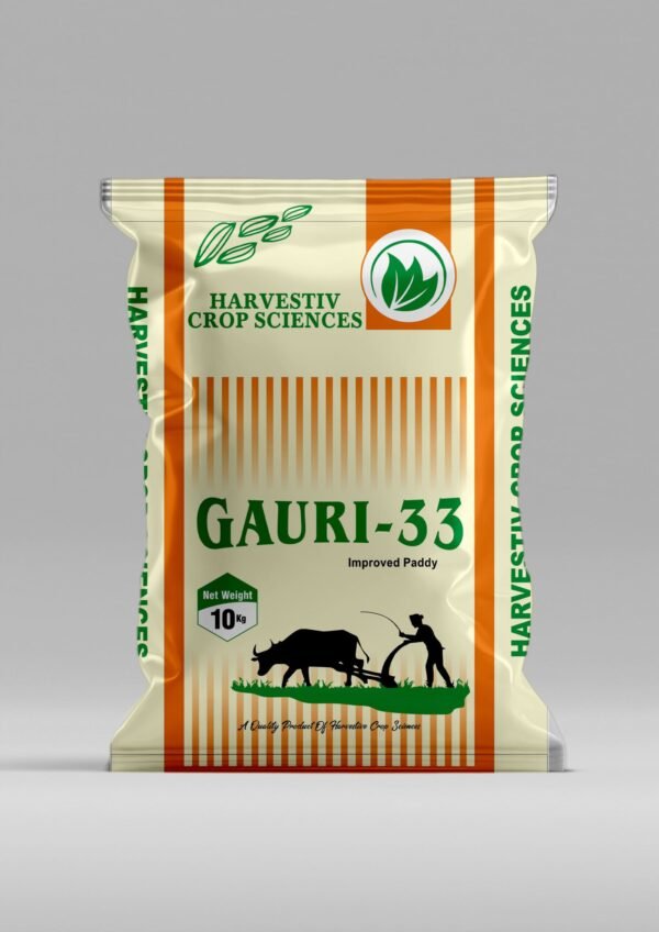 Paddy Gauri-33